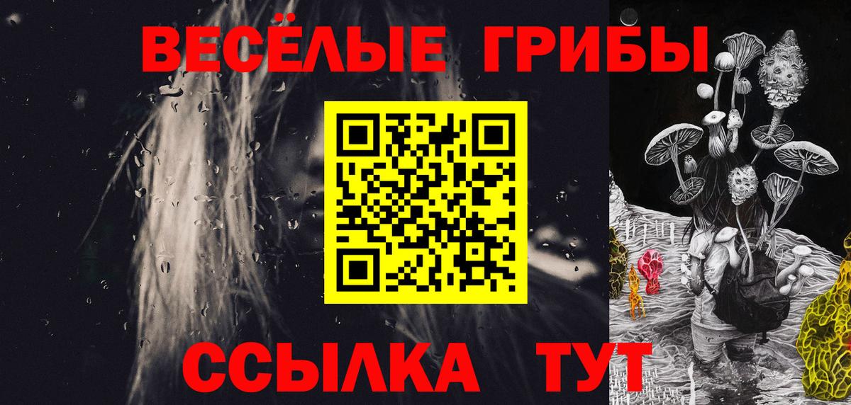 где купить   Псилоцибиновые грибы Psilocybine cubensis  Вход с VPN  Кыштым 