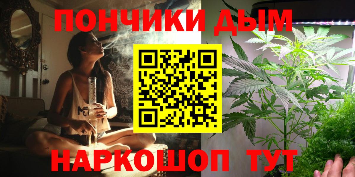 Бошки Шишки марихуана Кыштым